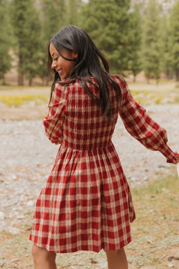 THE ALLISON PLAID MINI DRESS IN RED - Image 6
