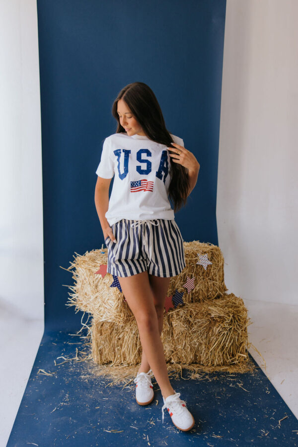 THE BAY STRIPE TWILL DENIM SHORTS IN NAVY - Image 8